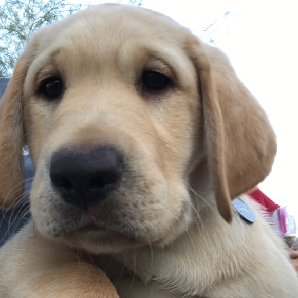 Meet your Posher, Kelsey - Picture 1 of 1